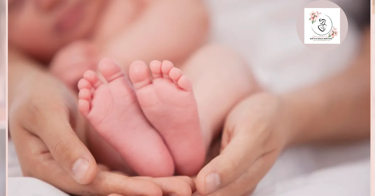Postpartum Doula Baby Care Services