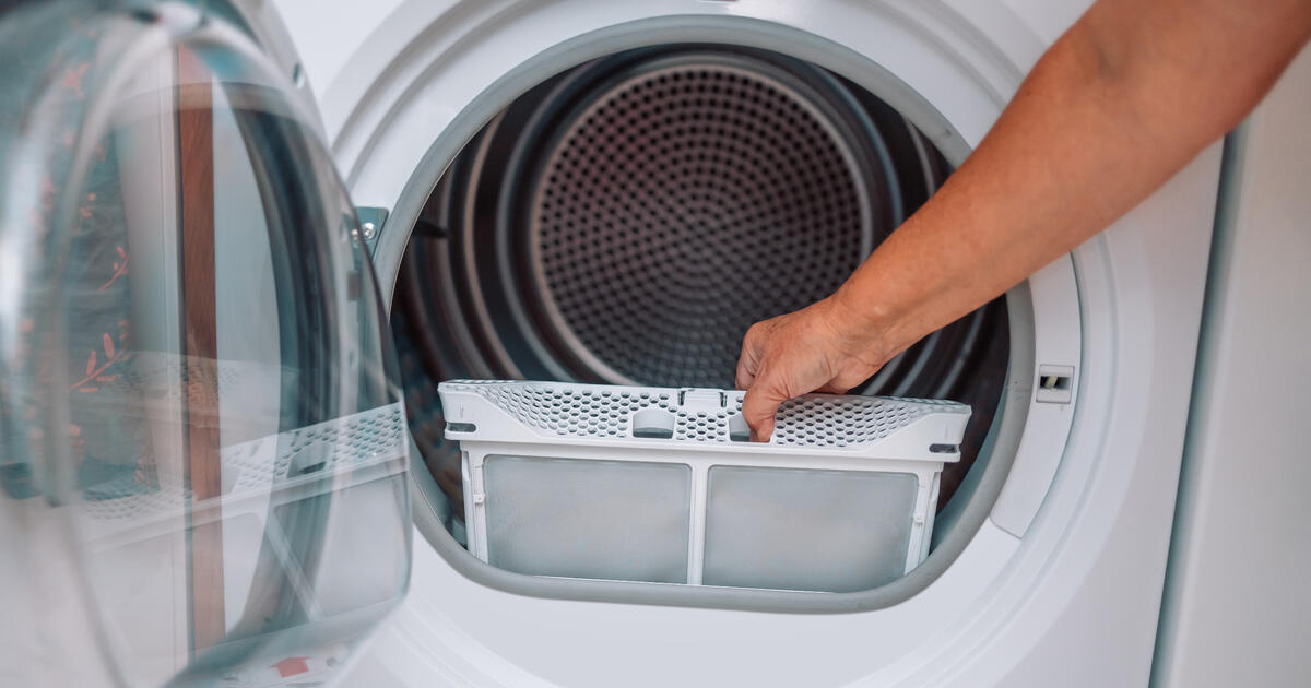 Clovis Dryer Vent Cover Replacement-c